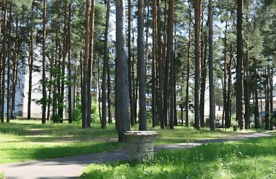 Санаторий Голубые озера фото 5