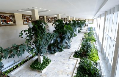 Санаторий Горный воздух фото 8