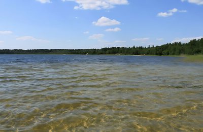 Санаторий Прибрежный фото 8