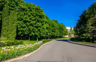 Санаторий Заря фото 6